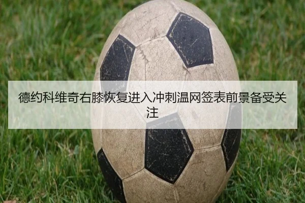 德约科维奇右膝恢复进入冲刺温网签表前景备受关注